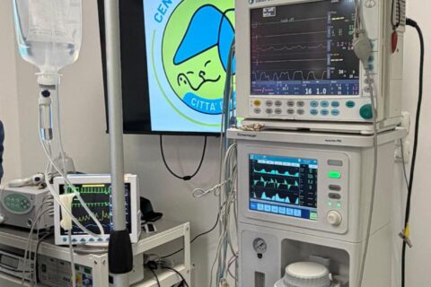 ANESTESIA E TERAPIA DEL DOLORE