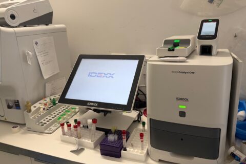 ANALISI DI LABORATORIO