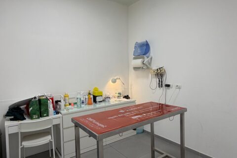 FISIOTERAPIA E LASERTERAPIA