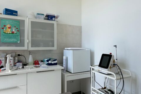 ENDOSCOPIA