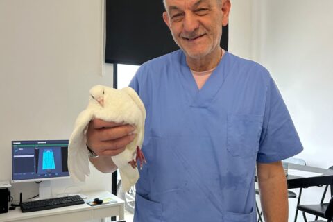 MEDICINA INTERNA